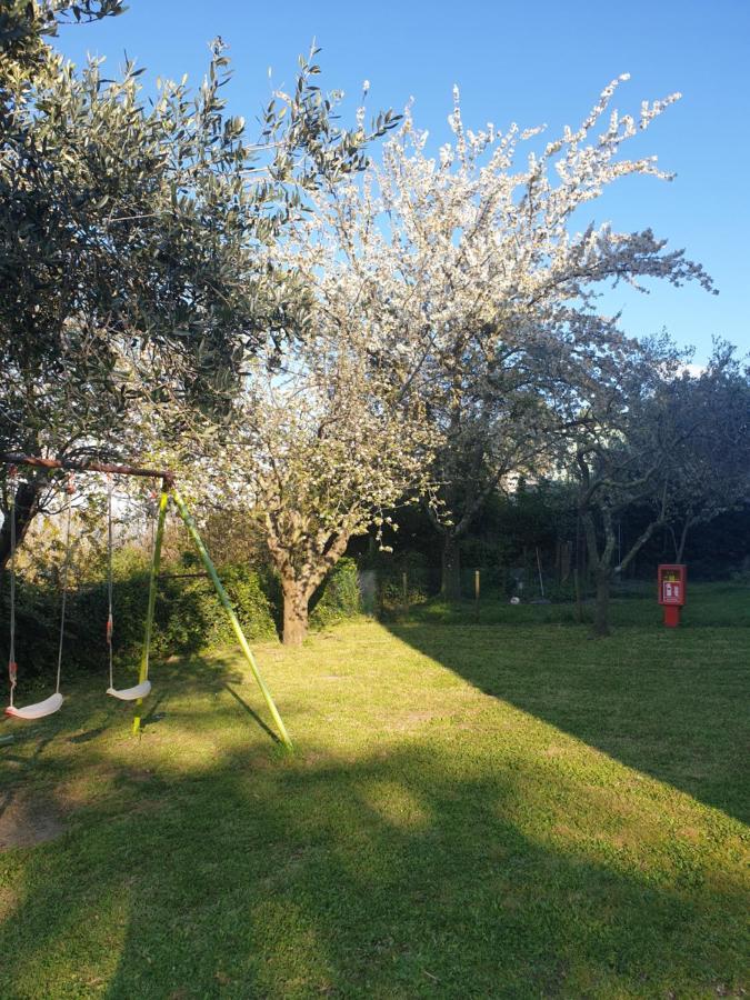 Alloggio Turistico Montefiascone Ngoại thất bức ảnh